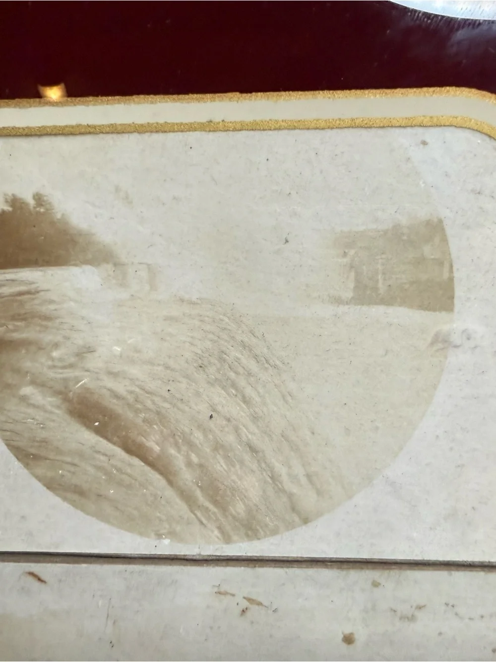 Antique 1897 Niagara Falls Cabinet Cards Framed in Art Deco Standing Frame
